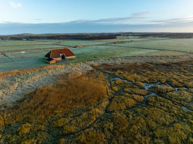 Aerial of a traditional farmhouse amid frosted polder fields and reed marsh at dawn