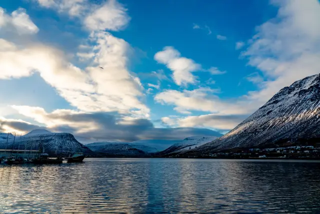 A fjord ringed by snow-capped mountains with a small harbour town and boats, Iceland