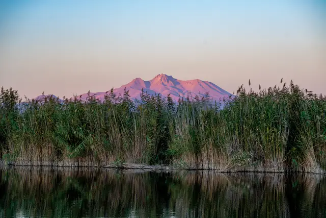 Reed marshland backed by distant mountains.