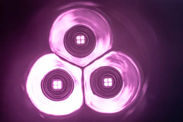 Glowing organic forms revealed under ultraviolet light.