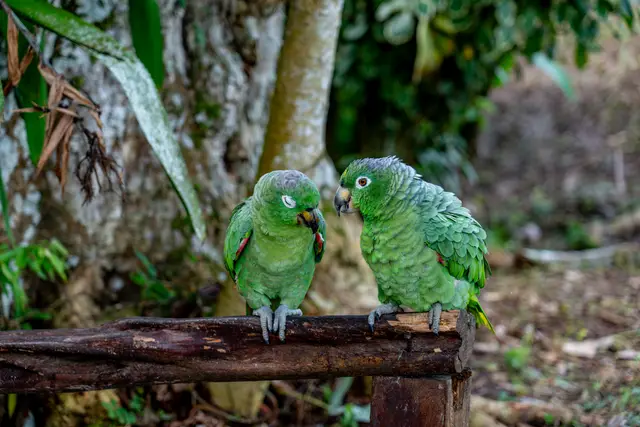 Documentary and visual-storytelling photography by Aquinox Media